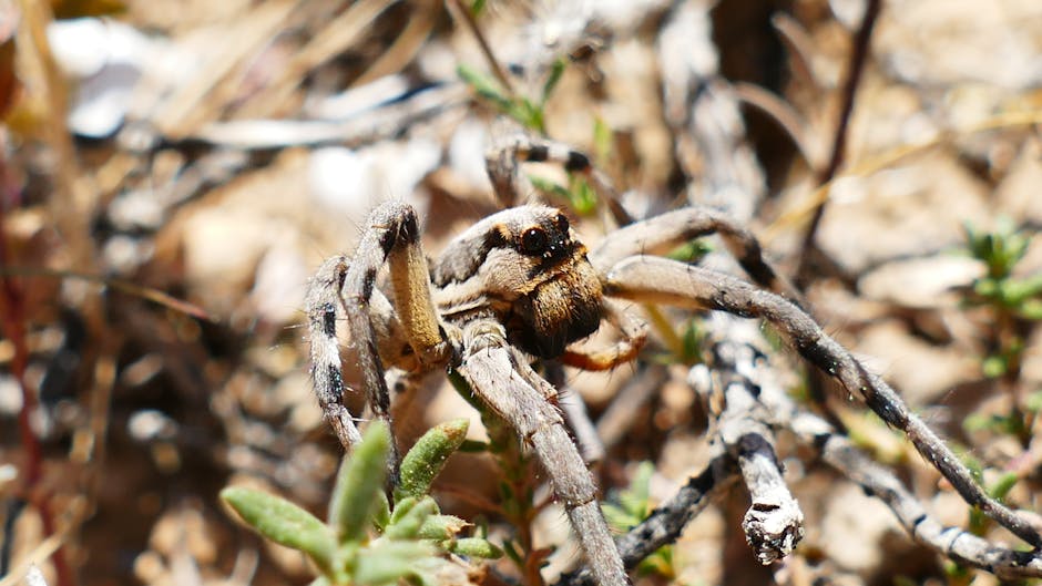 Selection of eco-friendly yoga mats and blocks